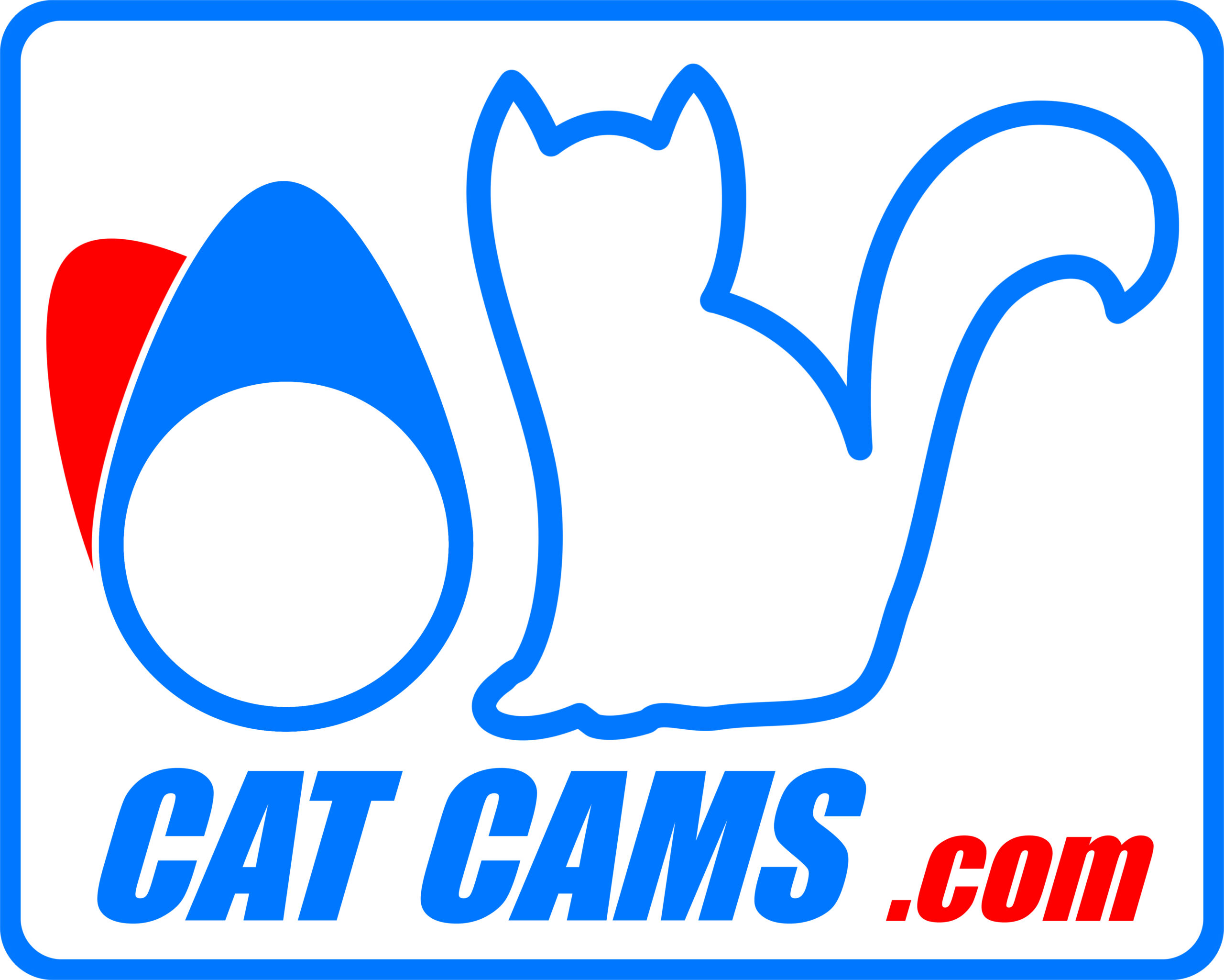 cat cams 2024 cover en