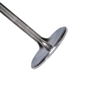 manley titanium series chevy ls 7 intake valve kit