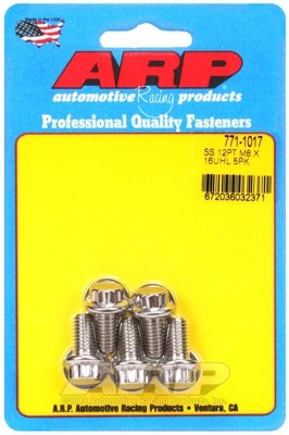 M8 x 1.25 x 16 12pt SS bolts (5pcs)
