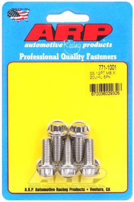 M8 x 1.25 x 20 12pt SS bolts (5pcs)
