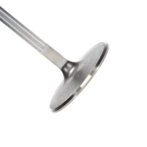Manley BBC Intake Valve 2.300 5.244 .3110