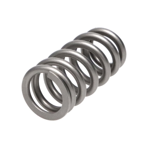 Manley Valve Spring FORD/MAZDA 2.3L