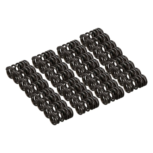 Manley Valve Spring Kit Spring/Retainer