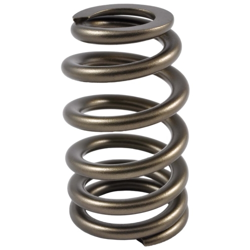 PAC Beehive Ovate Valve Spring 1.405 OD