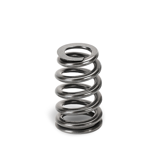 Supertech Valve Spring Kit BMW S65