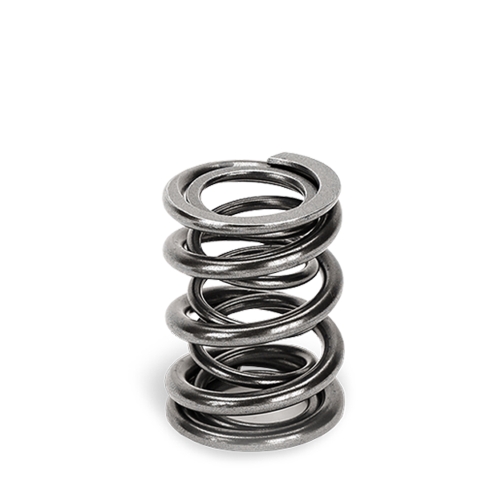 Supertech Valve Spring Set Ford/Opel/Mits/Ren/Nis
