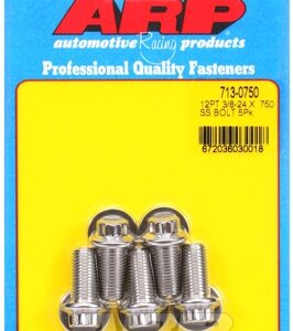 "3/8"" 24 x .750 12pt ss bolts" (5pcs)