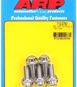"5/16"" 24 x .750 12pt ss bolts" (5pcs)
