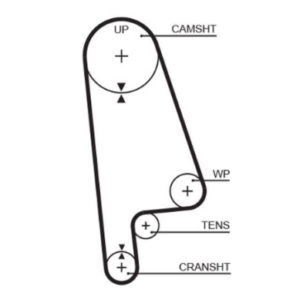 gates rpm timing belt 24 x 1019mm 107t