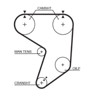 gates rpm timing belt 25 x 1272mm 159t