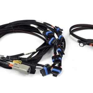 haltech nexus v8 ign 1a ford harness