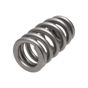 manley valve spring 1.311 single