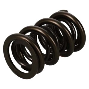 manley valve spring 1.650 double