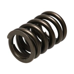 pac amc and bbc street single std. hot rod valve spring