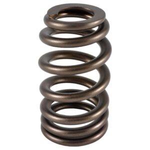 pac bbc ovate beehive valve spring
