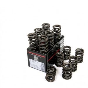 piper double valve springs austin healey 3000