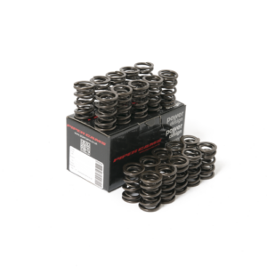 piper double valve springs ford 2.5l 20v st/rs