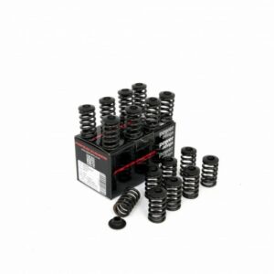 piper single valve spring kit inc caps peu 2.0l 16v ew10j4
