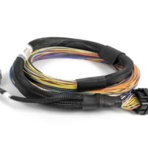 haltech nexus t1/t2 basic universal wiring harness 2.5m (8')